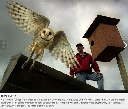 Barn Owl Maintenance Programs Press